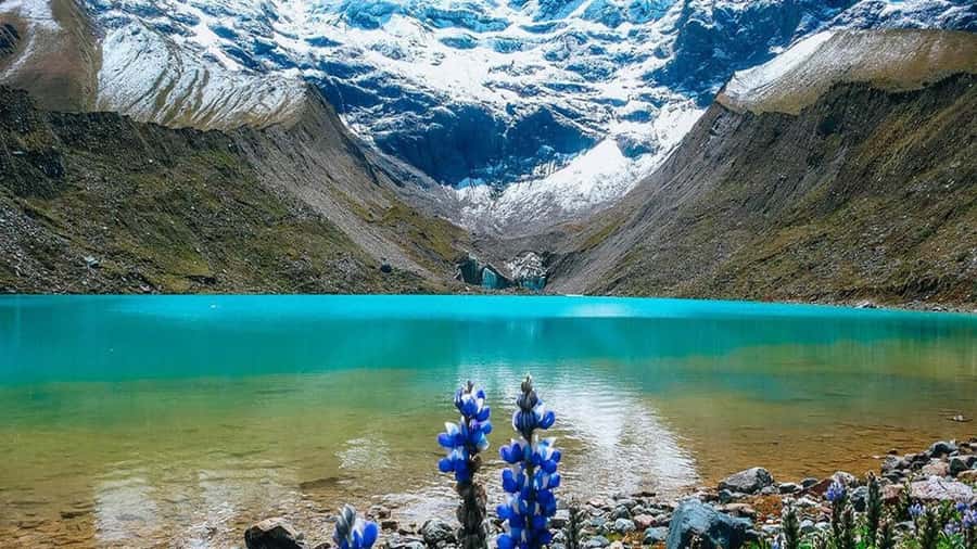 1 day excursion to the Humantay Lake from Cusco. - The 4:00–5:00 am Pickup That Makes or Breaks the Day