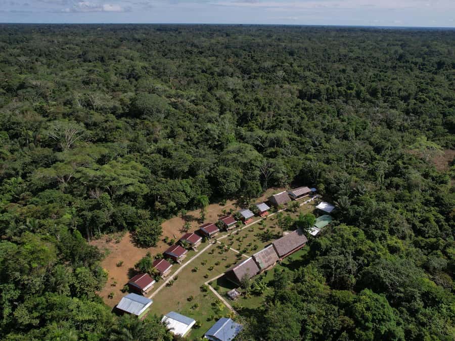 2-Day All Inclusive Guided Jungle Tour from Iquitos - Key Things You’ll Love Most