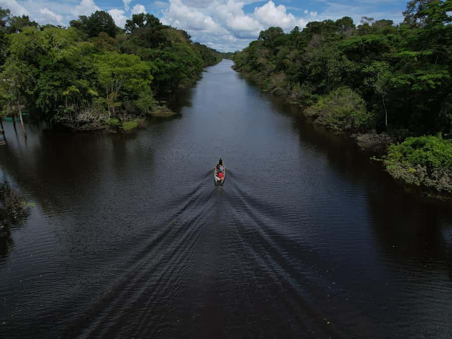2-Day All Inclusive Guided Jungle Tour from Iquitos - Two Days in Loreto: A Jungle Hit for Tight Schedules