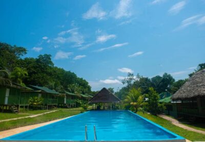 2-Day All Inclusive Guided Jungle Tour from Iquitos - From Iquitos to Nanay by Auto and Boat: Where Wildlife Starts