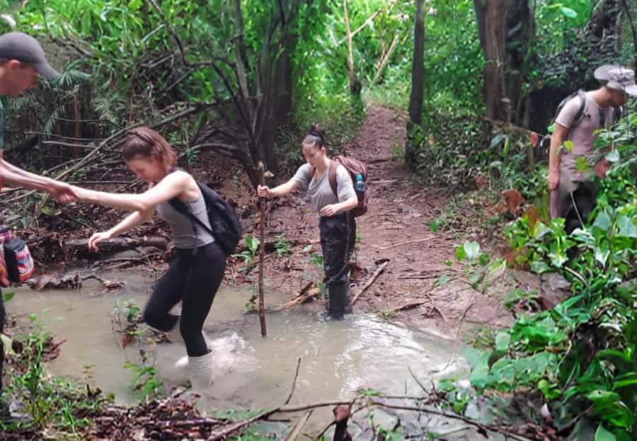 2-Day All Inclusive Guided Jungle Tour from Iquitos - Night Nature Hike: When the Jungle Turns Into a Different Planet