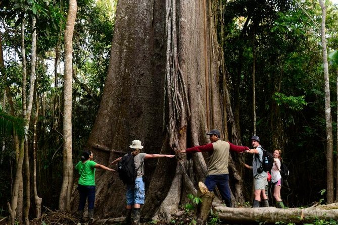 2-Day All Inclusive Guided Jungle Tour from Iquitos at Maniti Eco-Lodge - Day 1 Afternoon: Fishing, Pink Dolphins, and an Amazon Swim