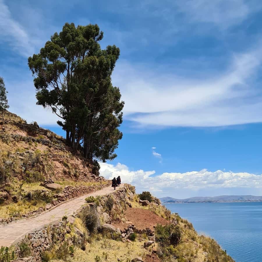 2-Day Amantani Island homestay overnight Tour from Puno - Who should book this Amantani Island overnight?