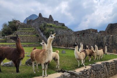 2 Day - Inca Trail to Machu Picchu - Day 1: Cusco to Km 104, Then Chachabamba and the Cloud Forest