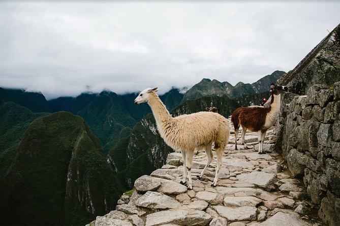 2-Day Short Inca Trail to Machu Picchu - Day Two: the early approach, a guided Machu Picchu tour, and time to wander