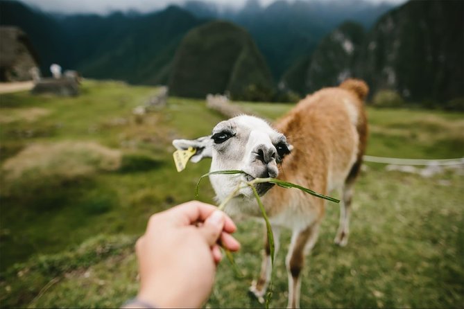2-Day Short Inca Trail to Machu Picchu - Small group size: why max 10 feels different at 2,900 meters