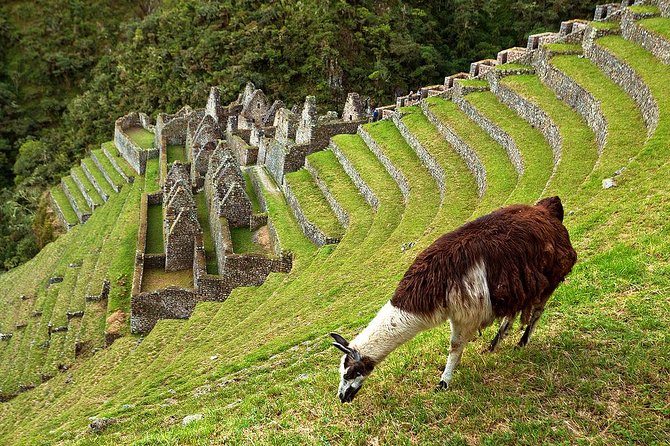 2 Day - Short Inca Trail to Machu Picchu - Group Service - Why this short Inca Trail works for tight schedules