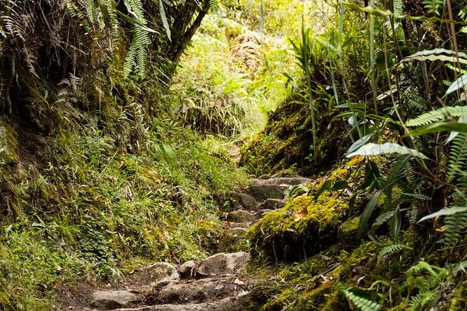 2 Day - Short Inca Trail to Machu Picchu - Group Service - Group size, guide support, and how the day stays organized