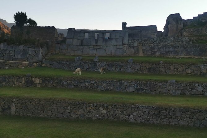 2-Day Tour in Sacred Valley and Machu Picchu from Cusco - Guides, Timing, and Why Michael’s Style Gets Repeated