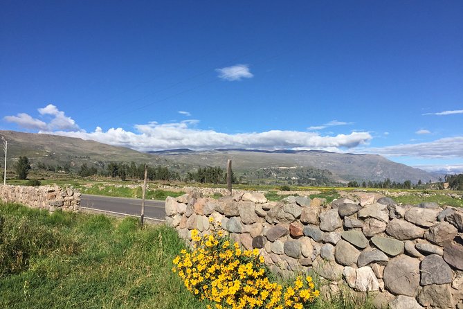 2 Day Trek Including Transfer to Puno / Colca Canyon - Where Colca Canyon Fits Into Your Arequipa–Puno Route