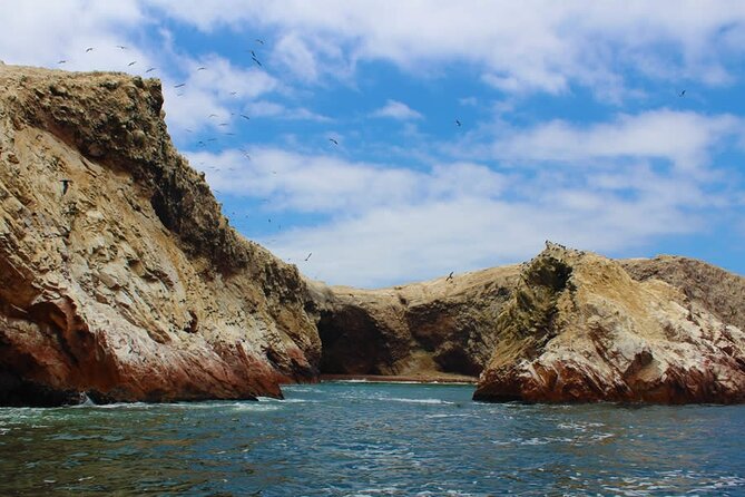 2-Hour Tour to the Ballestas Islands from Puerto San Martín - The Tour Pace: What Two Hours Feels Like in Real Life