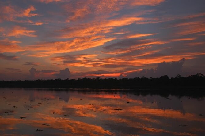 3-Day All Inclusive Guided Jungle Tour from Iquitos at Maniti Eco-Lodge - Should you book this 3-day Maniti jungle tour from Iquitos?