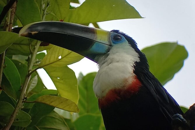 3-Day Eco-Sustainable Private Tour Manu National Park - Day 2: Atalaya, thermal baths, rafts on the Machuwasi lagoon, and a free night walk