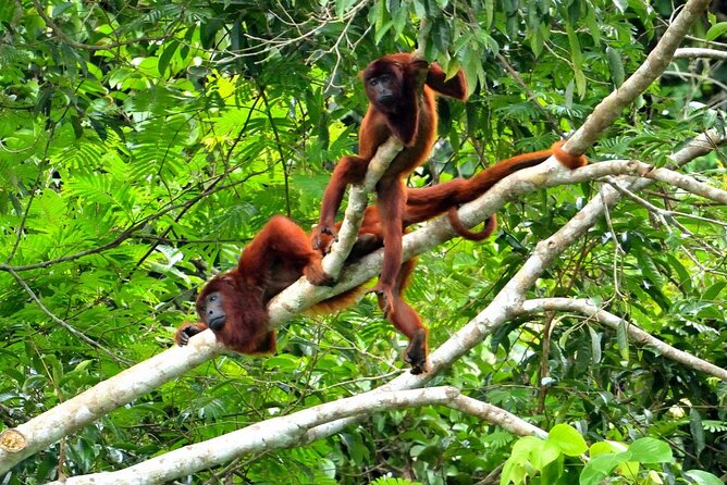 3-Day Eco-Sustainable Private Tour Manu National Park - Is $389 per person good value for this Manu package?