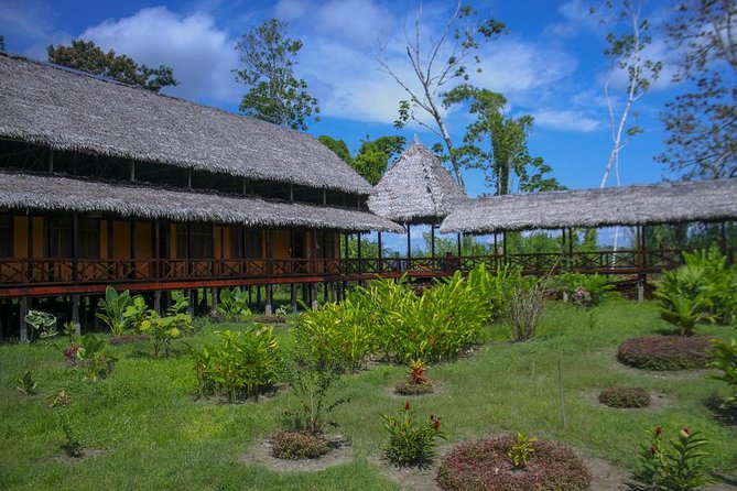 3-Day Iquitos Amazon Jungle Adventure at Heliconia Lodge - Day 1: Yanamono Reserve Plants by Day, Quebrada Manco Creatures by Night