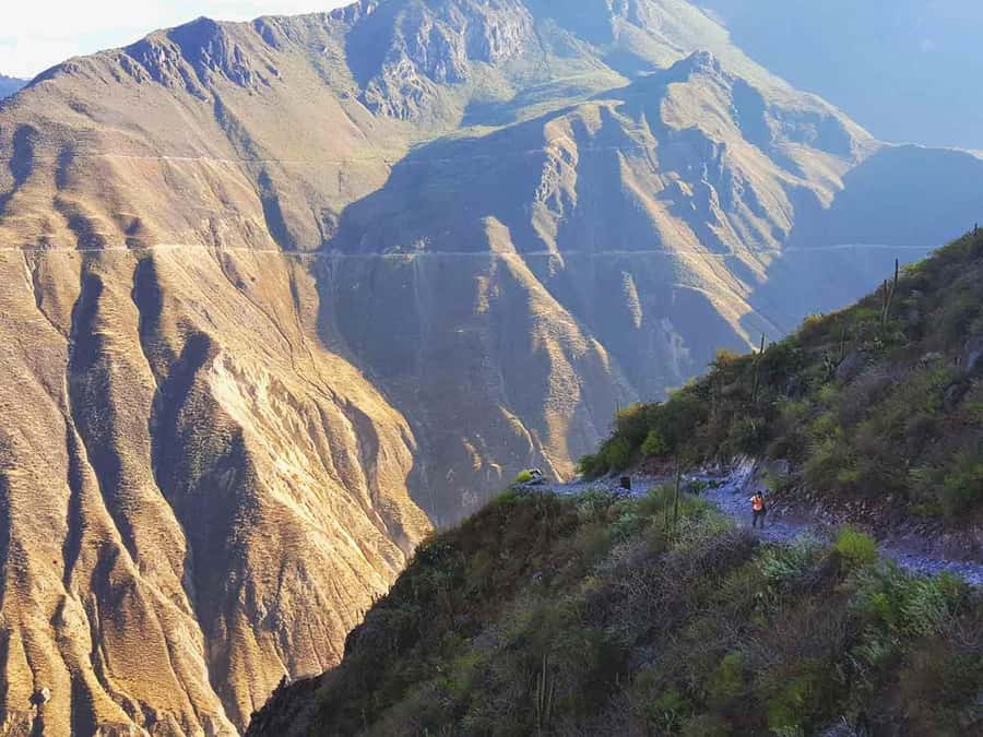 3-day trek to the Colca Canyon from Arequipa ending in Puno - Day 1: Arequipa to Cruz del Cóndor, then the walk into the canyon