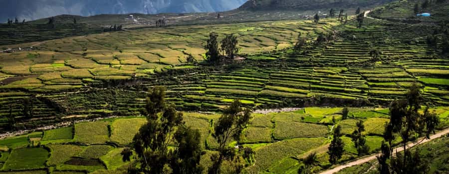 3-day trek to the Colca Canyon from Arequipa ending in Puno - Day 2: San Juan de Chuccho to Sangalle oasis (pools and village towns)