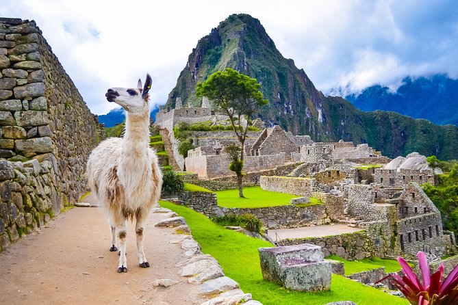 4-Day Excursion to MachuPicchu & Rainbow Mountain & City tour || All Included || - Hotel and meals: comfort is mostly covered, but quality can vary
