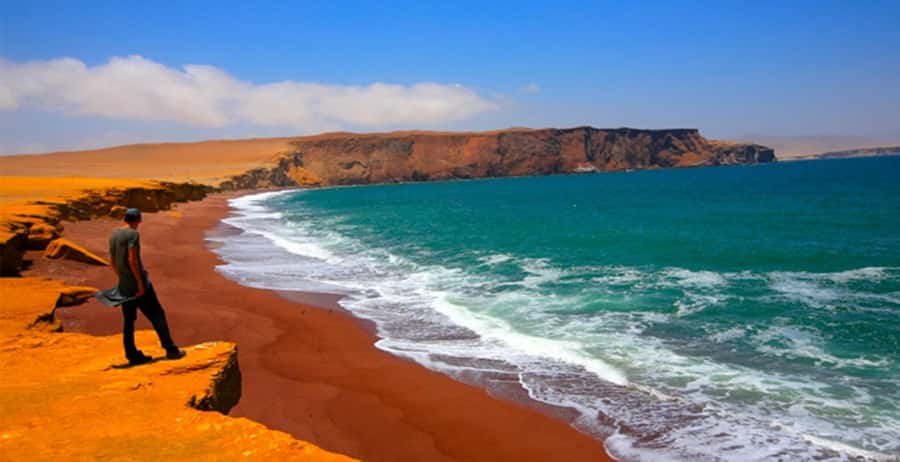 4 Day from Lima: Nazca Lines Flight, Paracas, and Huacachina - Day 2: Ballestas Islands by speedboat and Paracas Reserve on the coast