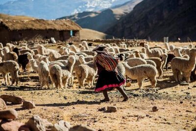 4-Day Lares Trek to Machu Picchu - Day 1 in the Sacred Valley: Pumahuanca ascent at altitude