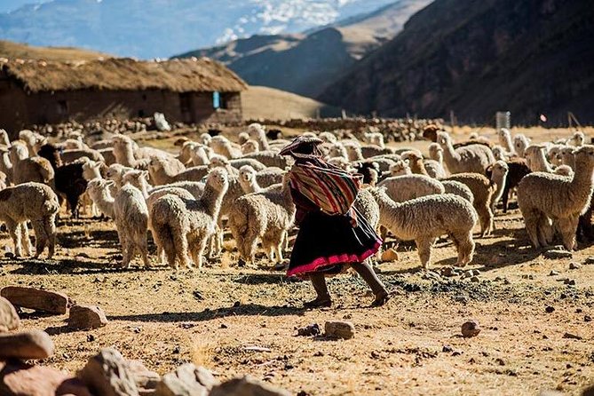 4-Day Lares Trek to Machu Picchu - Day 1 in the Sacred Valley: Pumahuanca ascent at altitude