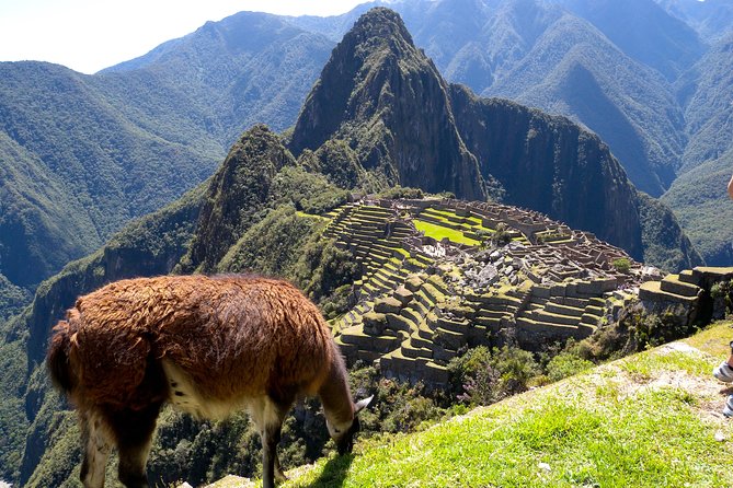 4 Day - Machu Picchu Special - Group Service - Day 3 sunrise at Machu Picchu: early pickup, guided walk, then freedom
