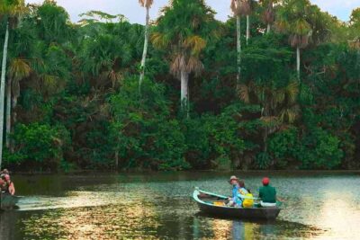 4 Day Tambopata Amazon Wildlife & Canopy Experience - Lodge life in the jungle: what you should expect at night