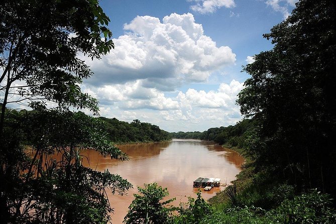 4 Day Tambopata Amazon Wildlife & Canopy Experience - Day 4: Parrot clay lick, native family visit, then Puerto Maldonado market time