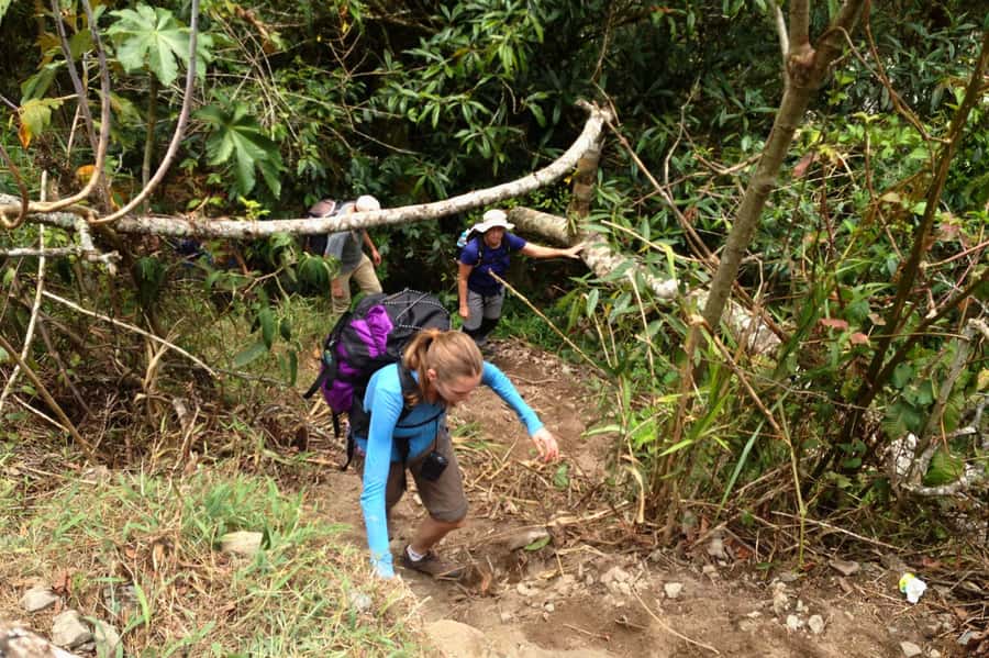 4 Days Inca Jungle Adventure to Machu Picchu - Machu Picchu sunrise: guided tour first, then your own choices