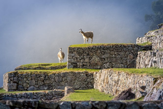 5 Day - Tour to Machu Picchu Traditional - Group service - What this tour is best for (and what it might not be)