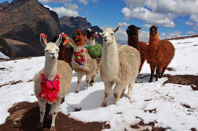 6-Day Tour of Cusco Magico-Machu Picchu-Rainbow Mountain - Rainbow Mountain (Vinicunca): Cusipata breakfast, Phulawasipata hike, return to Cusco