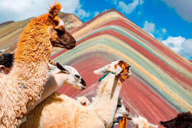 6-Day Tour of Cusco Magico-Machu Picchu-Rainbow Mountain - Value and price: is $539 really a fair deal
