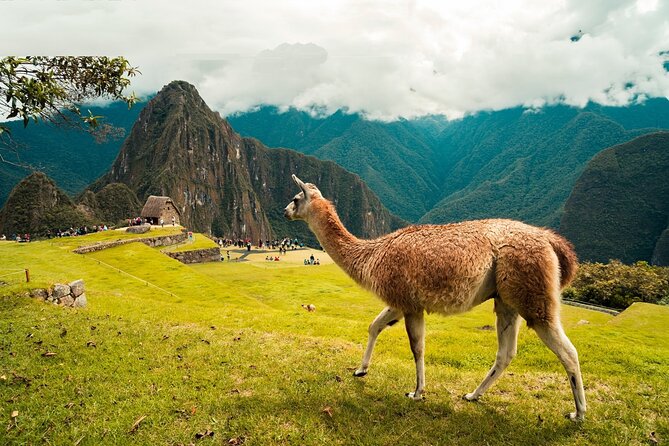 6-Day Tour of Cusco Magico-Machu Picchu-Rainbow Mountain - The Sacred Valley day: Pisac markets, Urubamba lunch, Ollantaytambo to the train