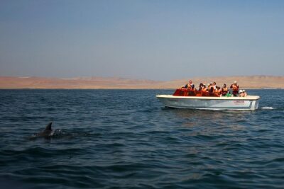8-Day Enigmas of Peru - Paracas National Reserve and Ballestas Islands: wildlife with a story