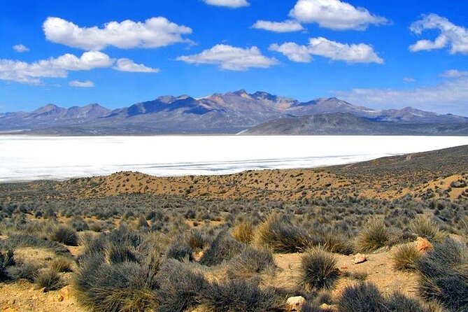 8-Hours Tour in Arequipa Laguna de Salinas with Pick-up - Thermal wells stop: the hot-springs choice isn’t always a must-do