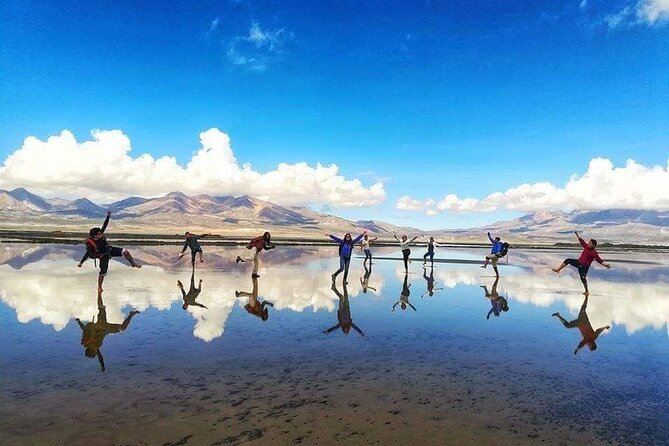 8-Hours Tour in Arequipa Laguna de Salinas with Pick-up - Salinas y Aguada Blanca National Reserve: vicuñas, parihuana, and flamingos
