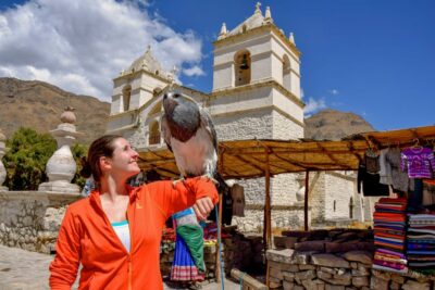 Andes: Colca Canyon Day-Trip - The 2:30–3:00AM pickup: worth it, but plan for it