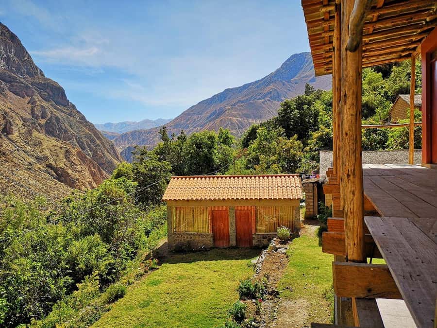 Arequipa: 2-day Colca Canyon Trekking, Ending in Puno - Two big hikes and a condor stop: the Colca trek in plain terms