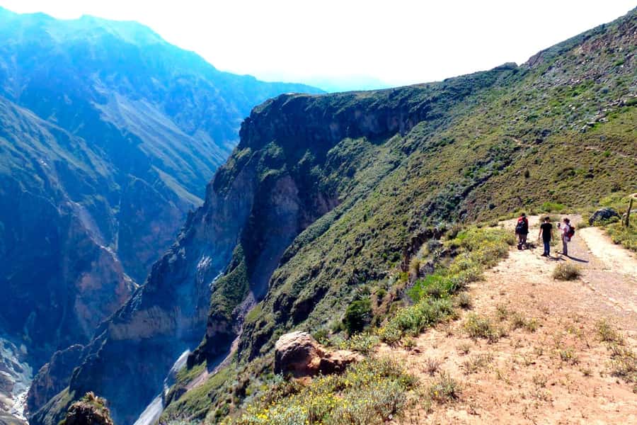 Arequipa: 2-day Colca Canyon Trekking, Ending in Puno - Condors at Cruz del Cóndor: timing, expectations, and how to enjoy it