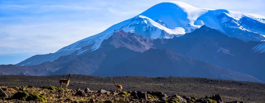 Arequipa | Ascent to Chachani Volcano 2 days / 1 night - Summit morning around 5:00 a.m.: the view list that makes it worth it