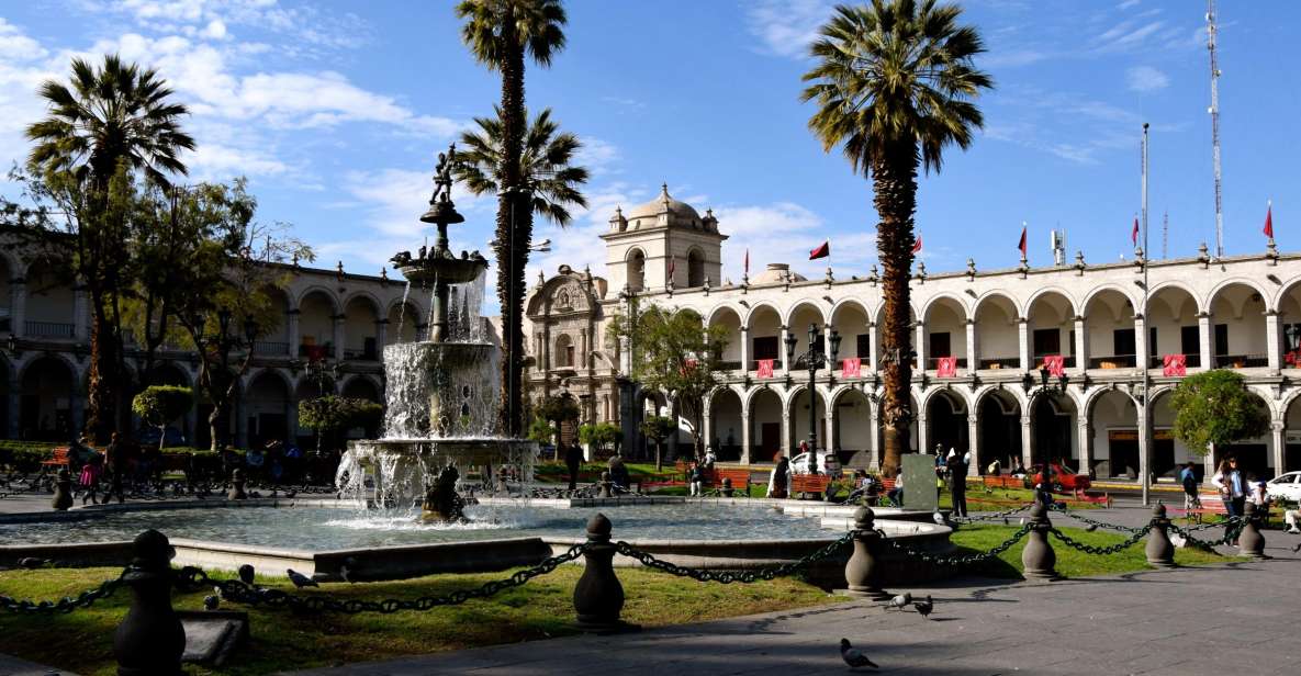 Arequipa: City and Country Tour - Incalpaca Outlet mini-zoo: camelids you can actually spot