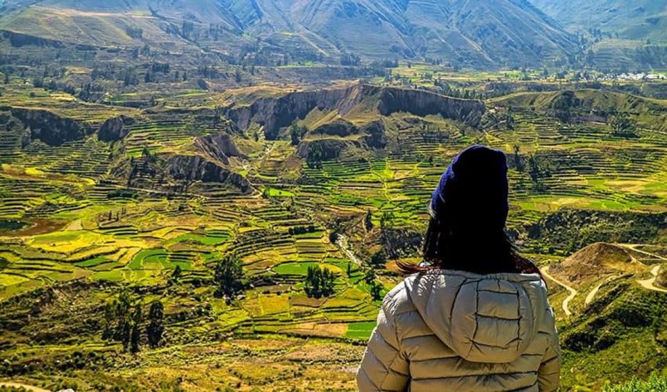 Arequipa: City and Country Tour - Andenes de Paucarpata terraces: microclimates you can picture
