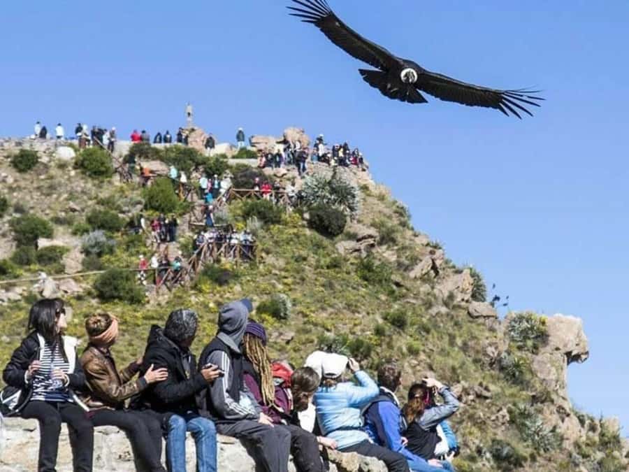 Arequipa: Colca Canyon Trekking 2 days and 1 night + food - Cruz del Condor: where the canyon opens up