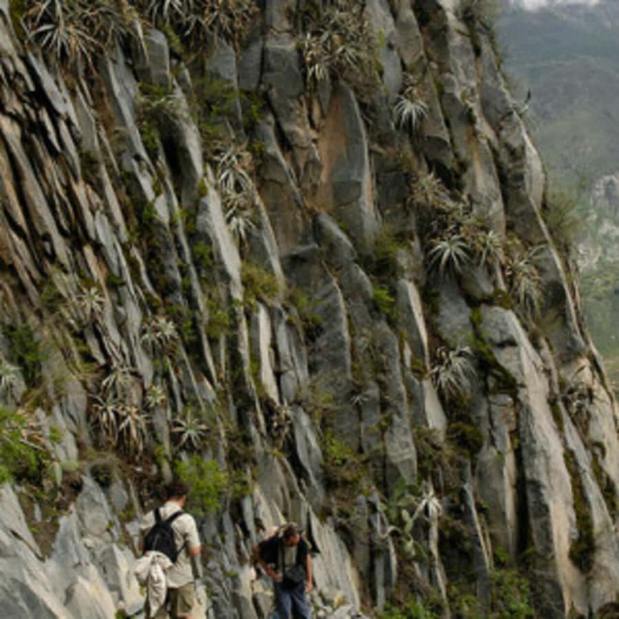 Arequipa: Colca Canyon Trekking 2 days and 1 night + food - Sangalle lodge night: rustic comfort, shared rooms, and no power plan