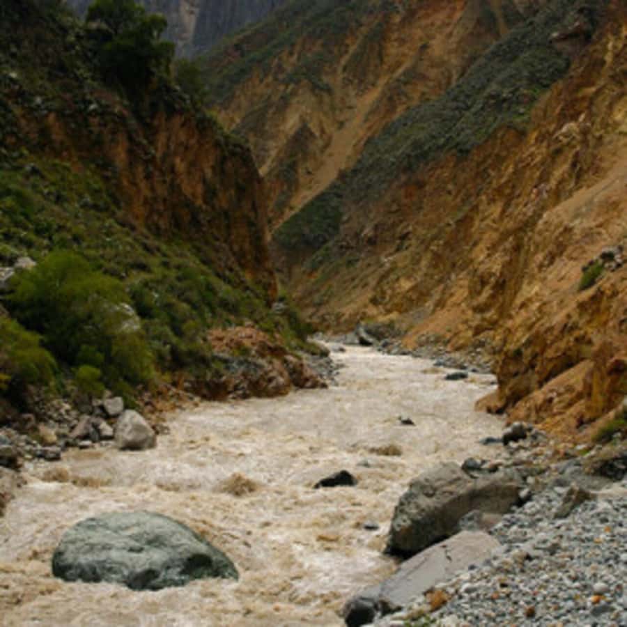 Arequipa: Colca Canyon Trekking 2 days and 1 night + food - Wildlife and animal reserve stops: Tocra wetlands, alpacas, llamas, vicuñas