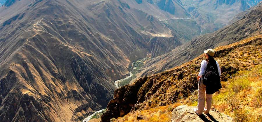 Arequipa: Full Day Colca Canyon Tour with transfer to Puno - The drive to Puno has its own payoffs: Patapampa, volcano stops, and reserve wildlife