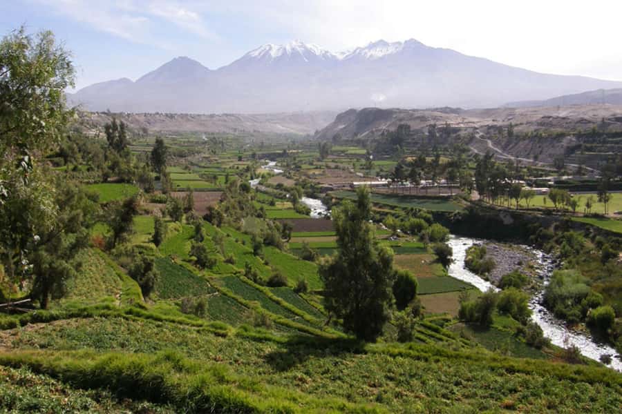 Arequipa Panoramic Bus Tour - Incalpaca Outlet and Zoo: Camelid Viewing and Shopping Reality