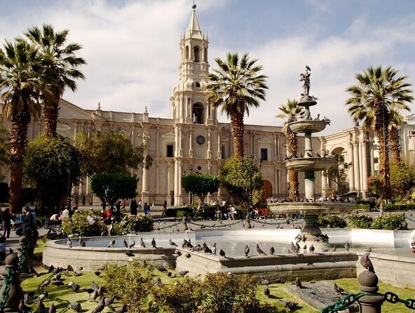 Arequipa Tasting Tour - Key highlights you should care about