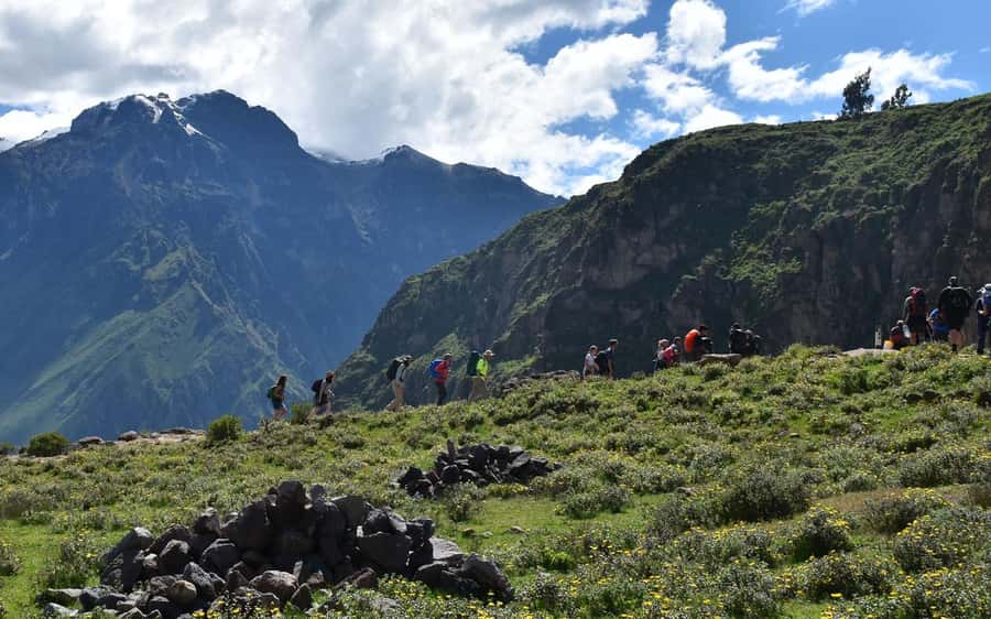 Arequipa: trekking to the Colca Canyon 2 days/1 night - Key highlights that make this trek worth your feet
