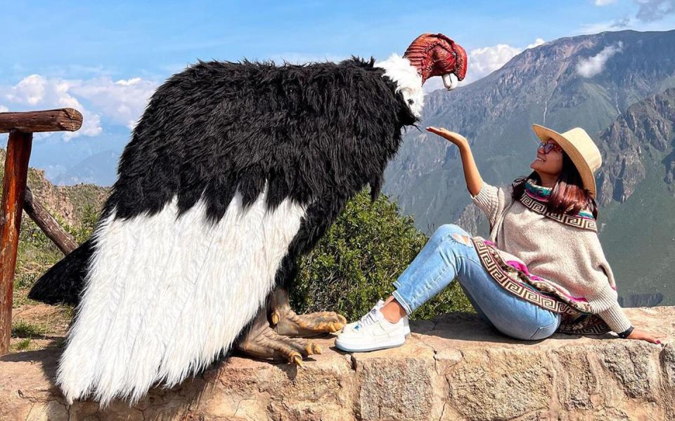 Arequipa: trekking to the Colca Canyon 2 days/1 night - San Juan de Chuccho to Sangalle: where the canyon feels personal